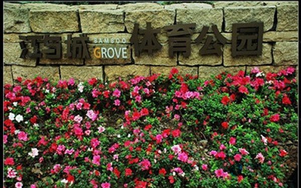 那里有體育籃球木地板平米價(jià)