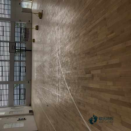 批發體育籃球木地板價格行情