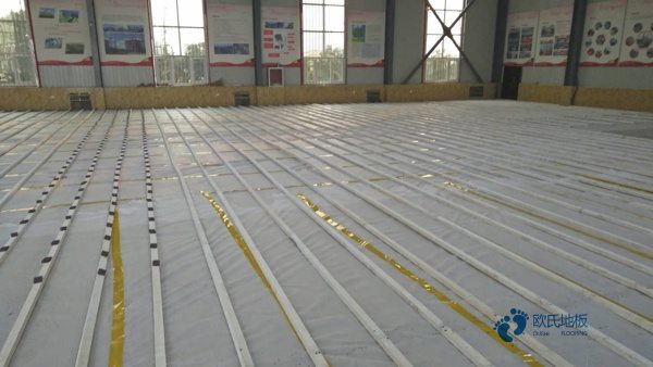 體育場地木地板免費2
