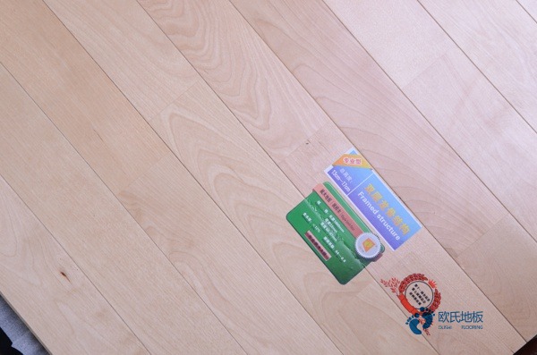 學(xué)校運動籃球木地板2