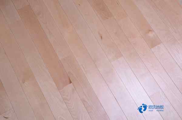 學(xué)校運動籃球木地板1