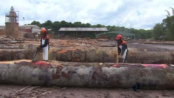 那有體育運(yùn)動木地板防護(hù)