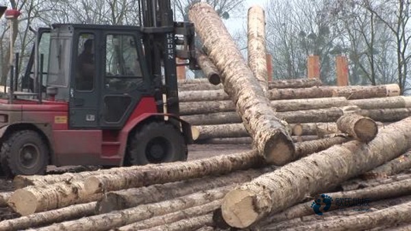 那有體育運(yùn)動木地板防護(hù)