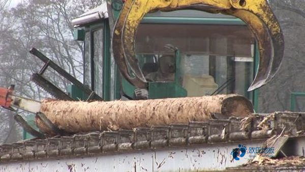 那有體育運(yùn)動木地板防護(hù)