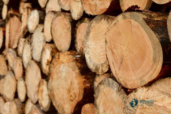 懸浮式籃球運(yùn)動(dòng)木地板板厚要求