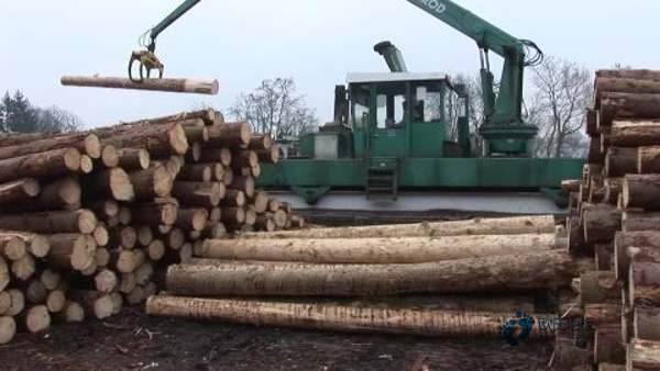 楓樺木體育籃球木地板每平方價格