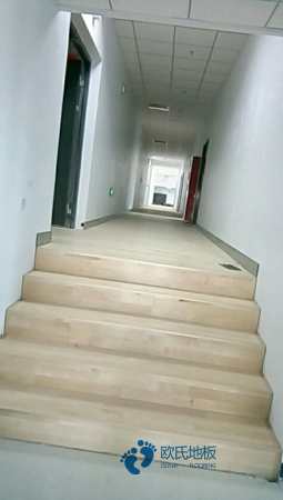 學校籃球體育地板費用