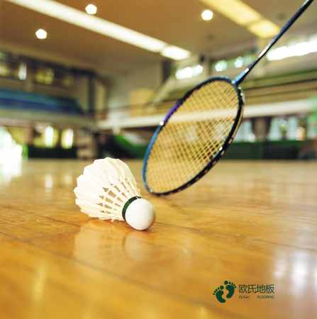 一般運(yùn)動(dòng)體育地板免費(fèi)送樣品