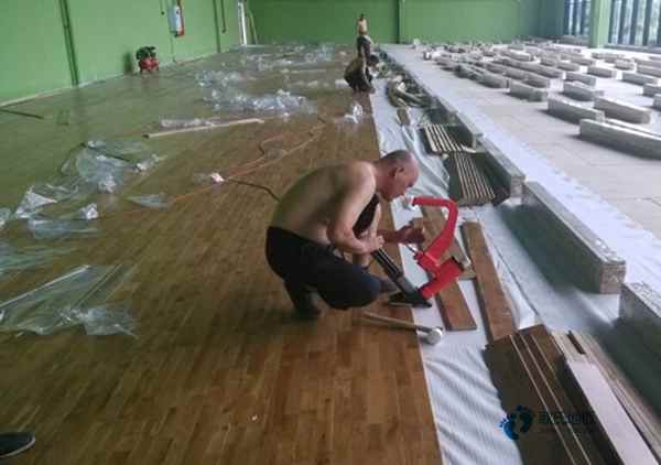 一般運(yùn)動(dòng)體育地板免費(fèi)送樣品