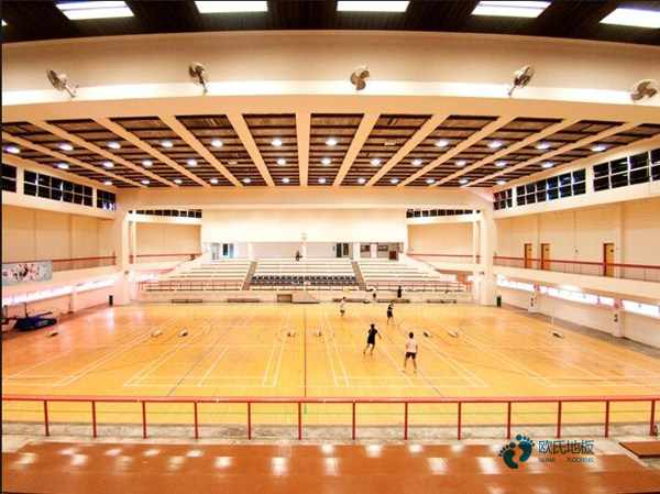 一般運(yùn)動(dòng)體育地板免費(fèi)送樣品