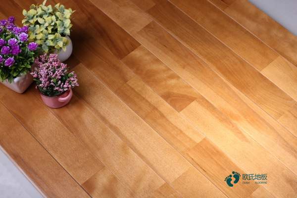 那有體育運動木地板保養(yǎng)知識