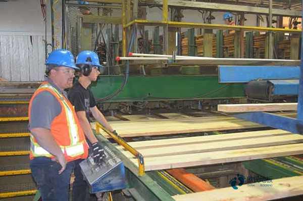 學?;@球場館地板耐火等級2