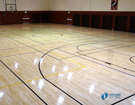 學?；@球場木地板標準3